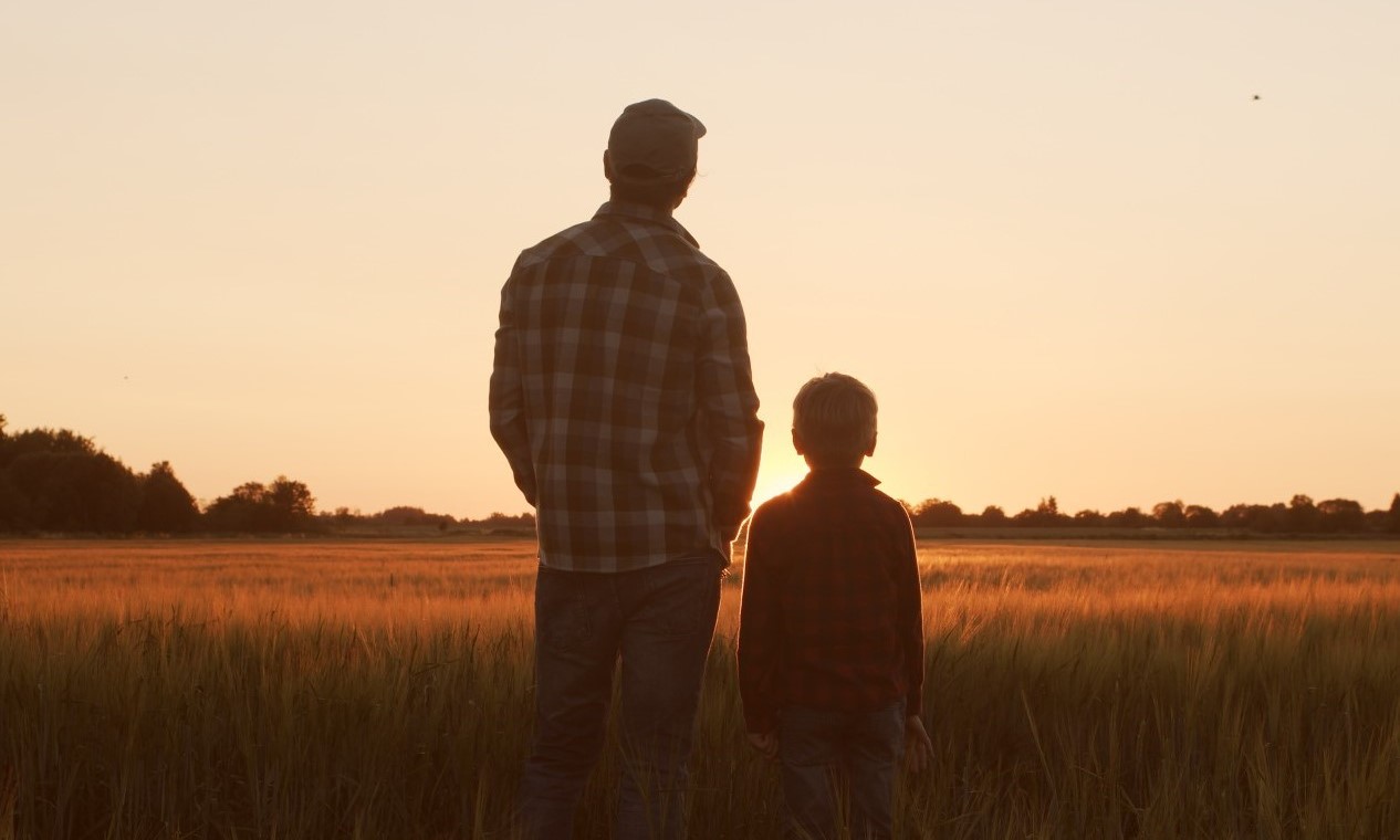 Our Planning Management Strategies | 7th Harvest Investments
